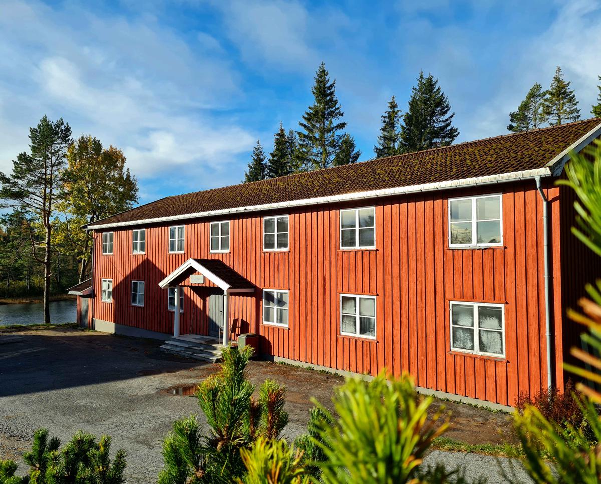 Skogsro Forest Hostel photo 1