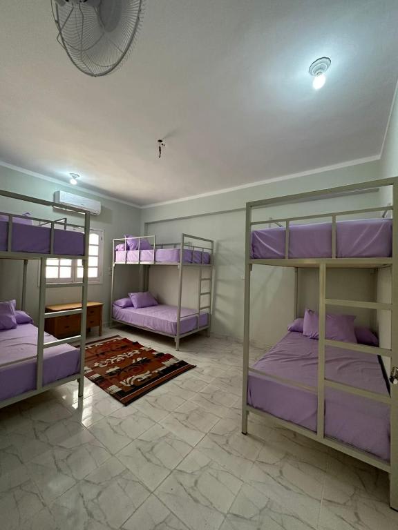 Skylen Hostel photo 4