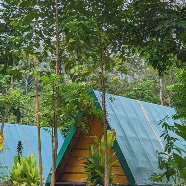 Cabin Glamping photo 5