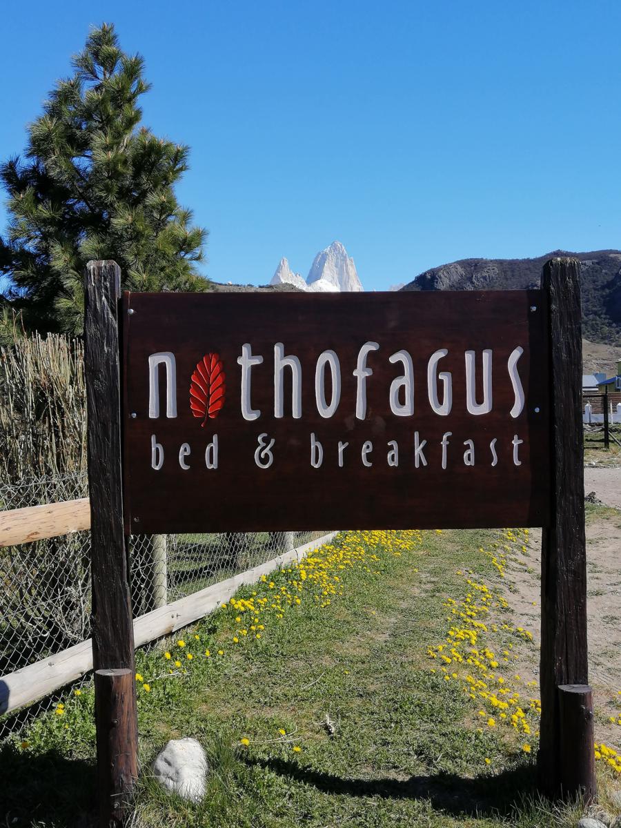 Nothofagus B&B photo 1