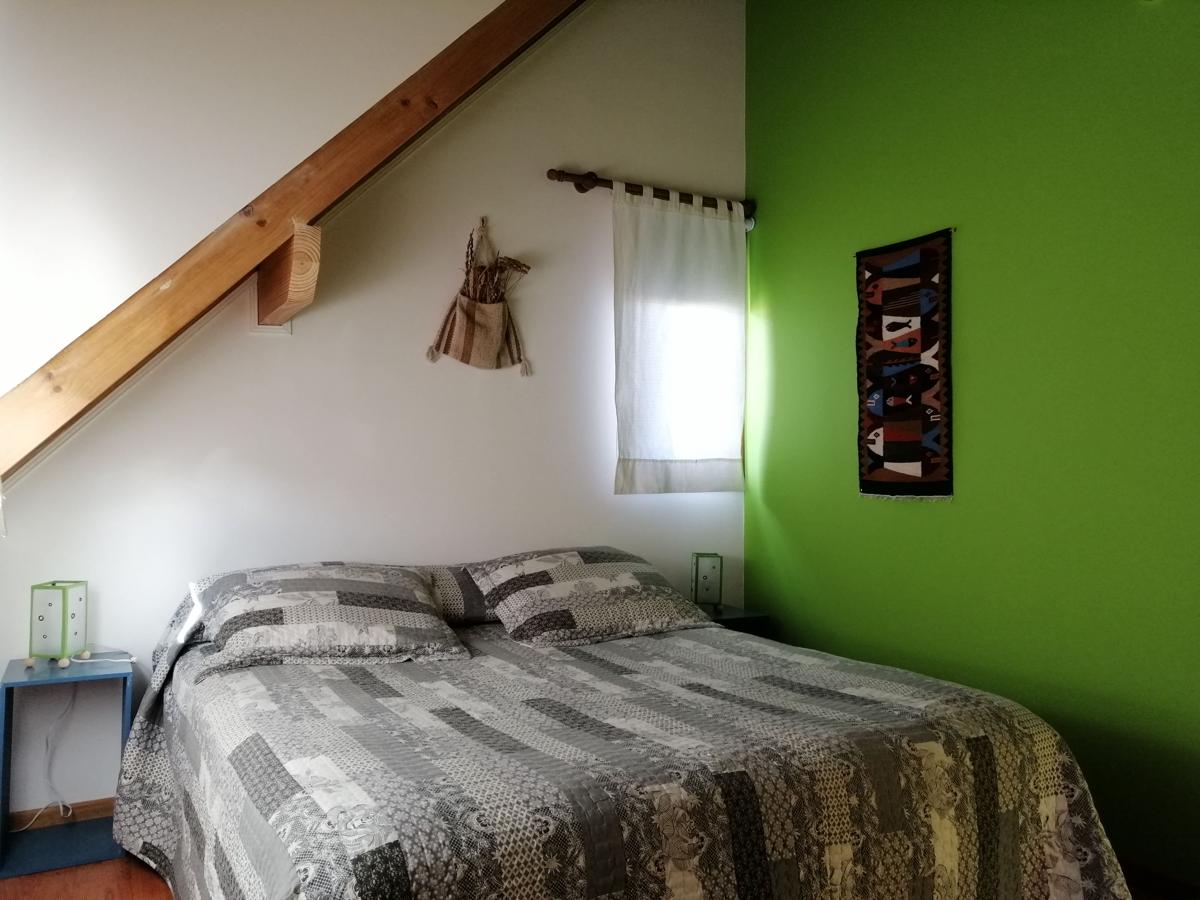 Nothofagus B&B photo 3