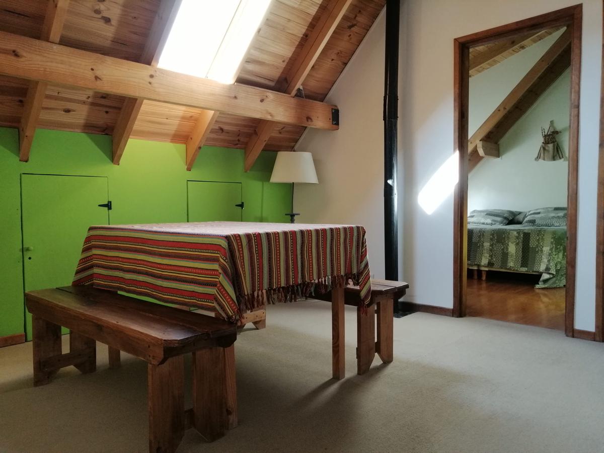 Nothofagus B&B photo 4