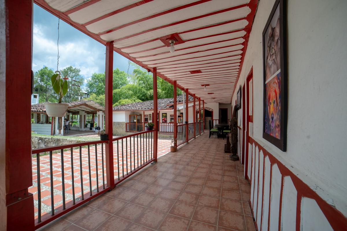 Hostal el Confort photo 3