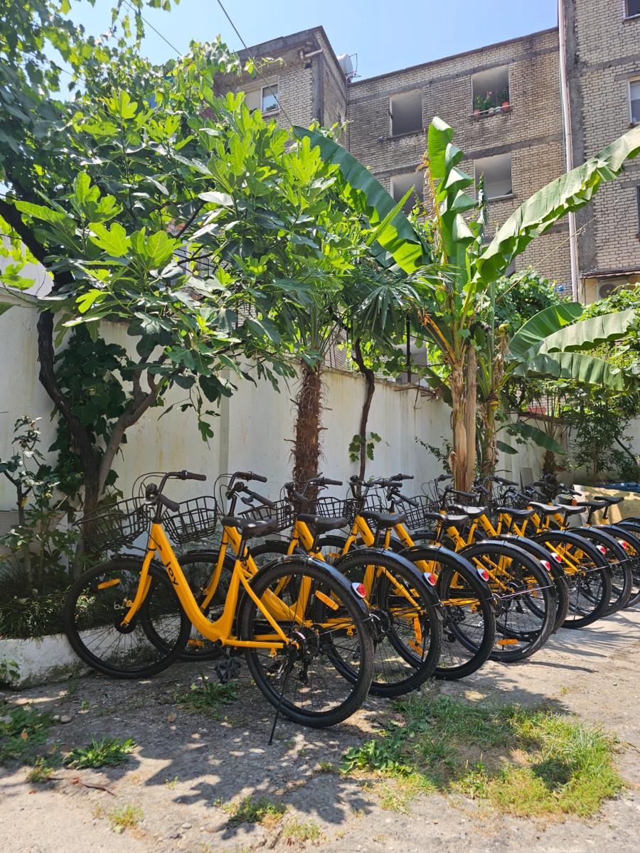 Traveler Hostel 2 photo 4