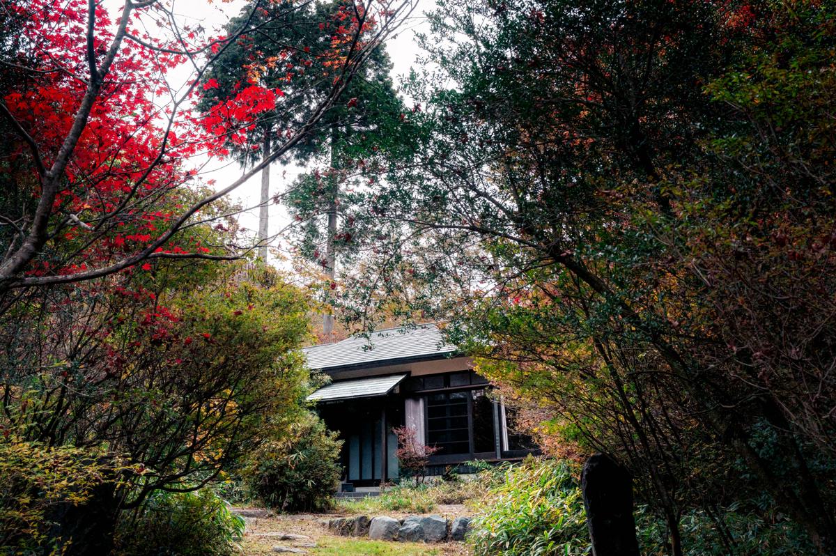 EXP._Atelier photo 1