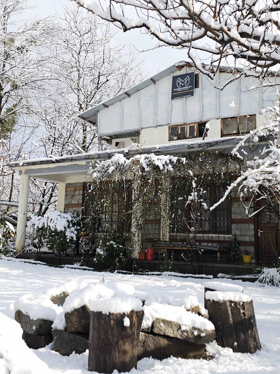 Mars Monkey Hostel and Cafe photo 1