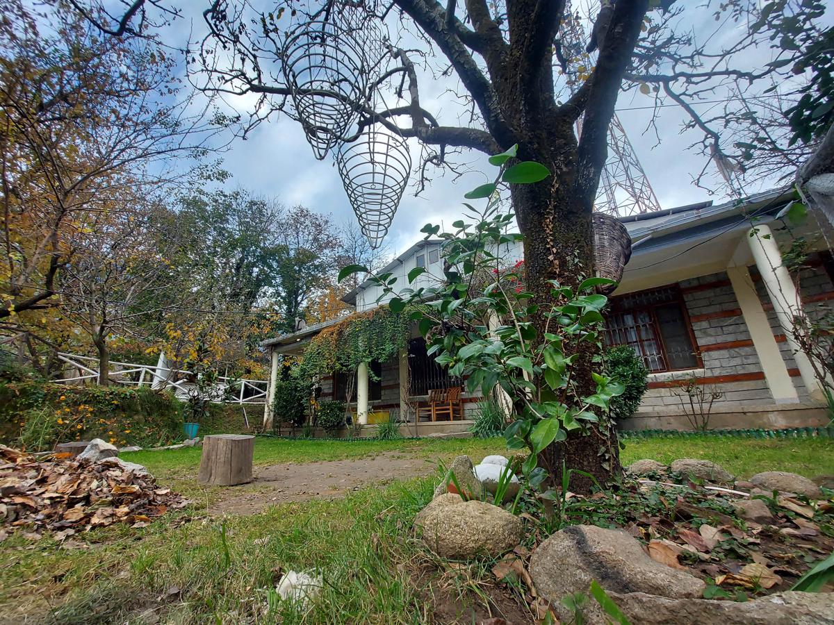 Mars Monkey Hostel and Cafe photo 2