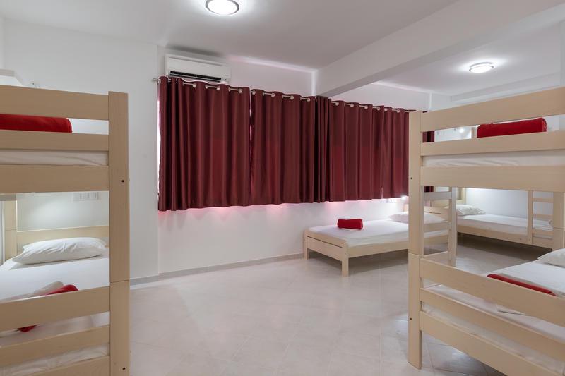 Hostel Free Bird photo 5