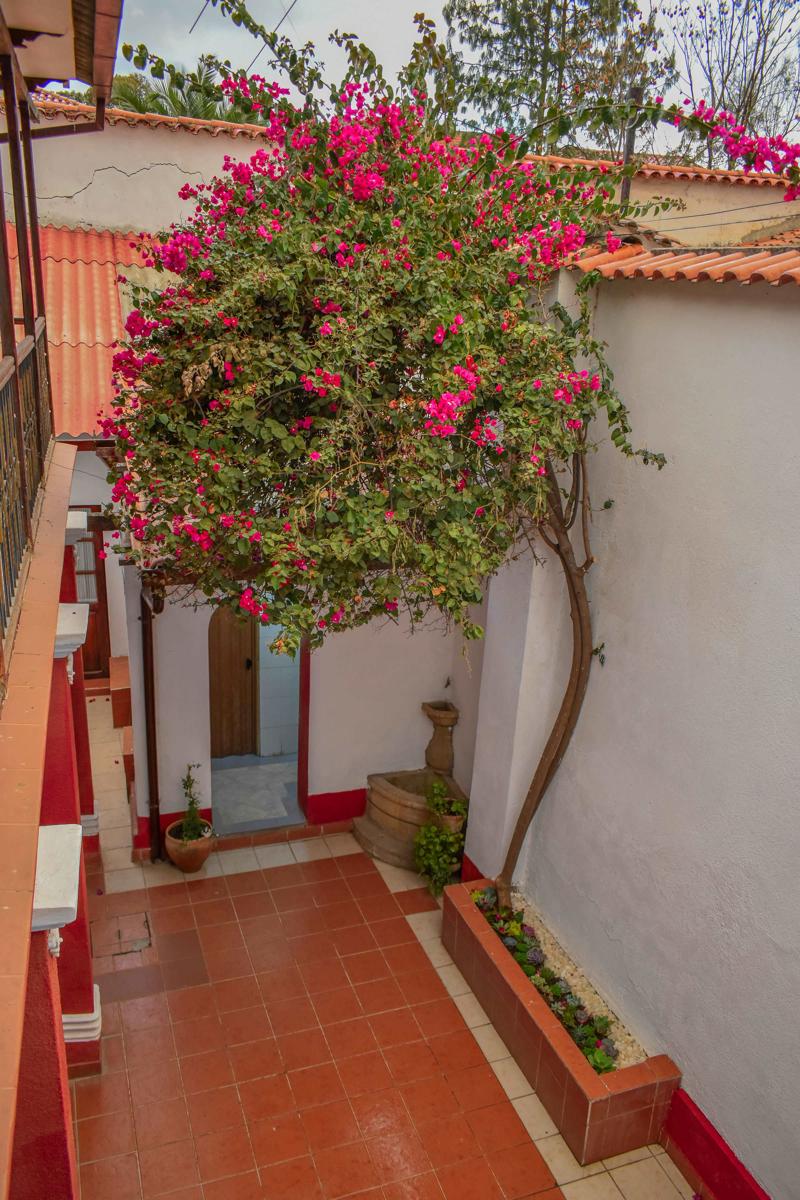 Casa Grau photo 3