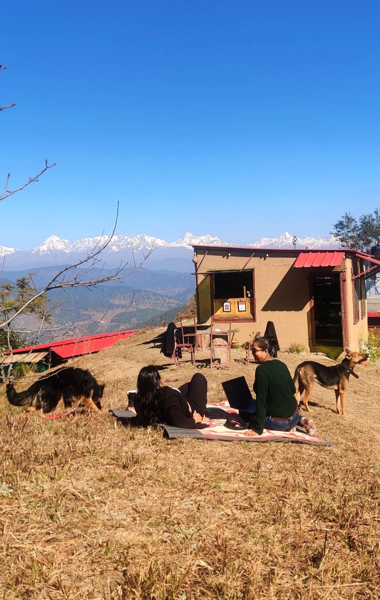 Traveller Hive Kasar Devi photo 2