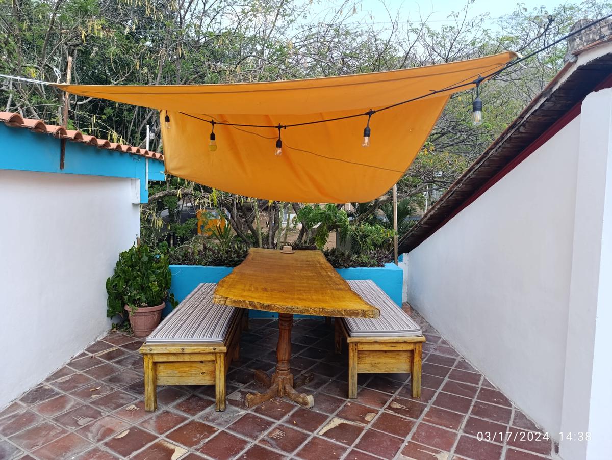 Iguana Garden photo 2