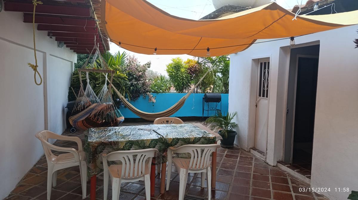 Iguana Garden photo 3