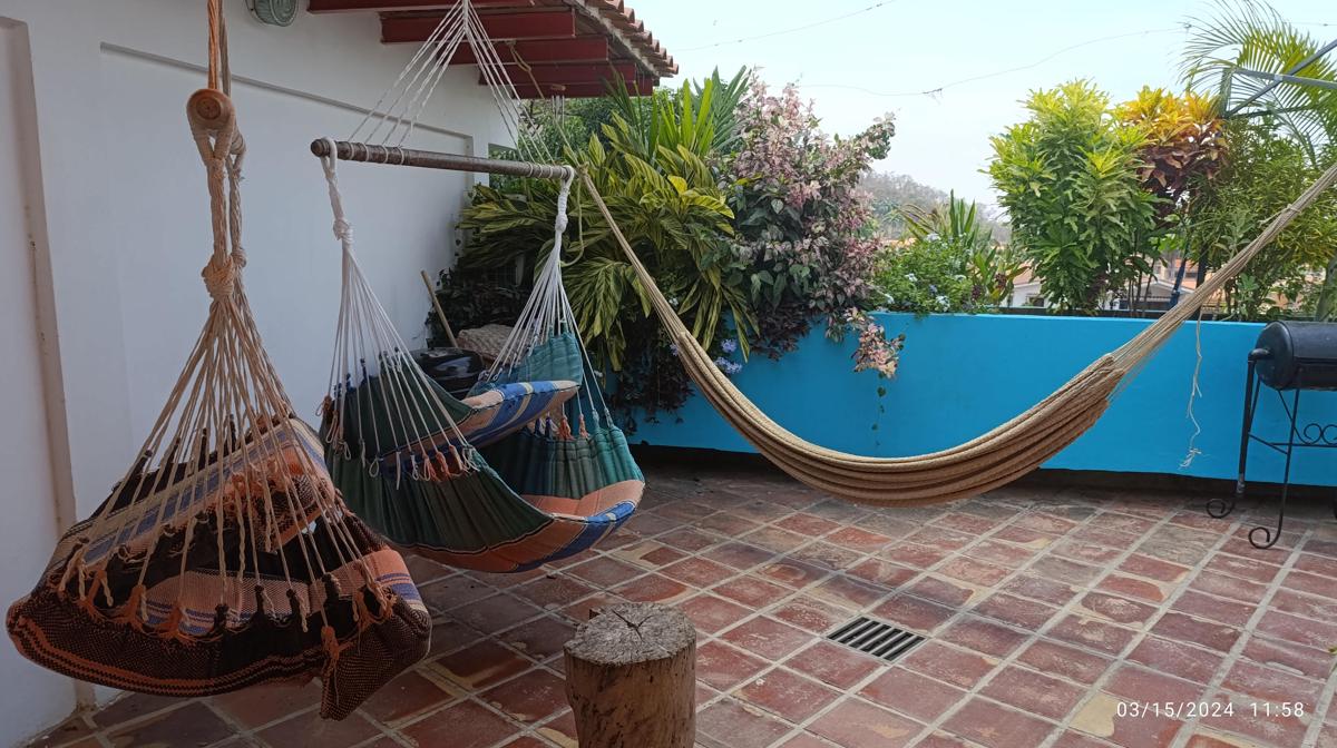 Iguana Garden photo 4