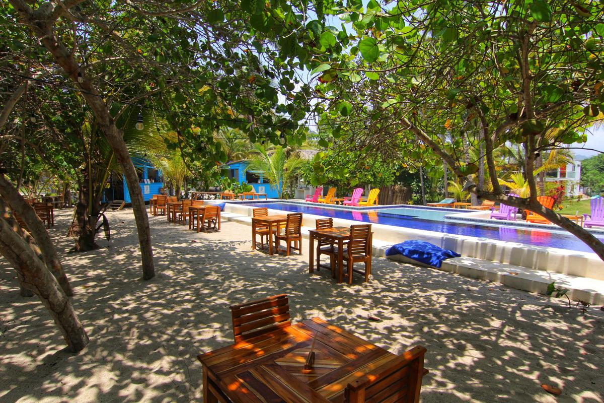 Blue Mango Hotel photo 2