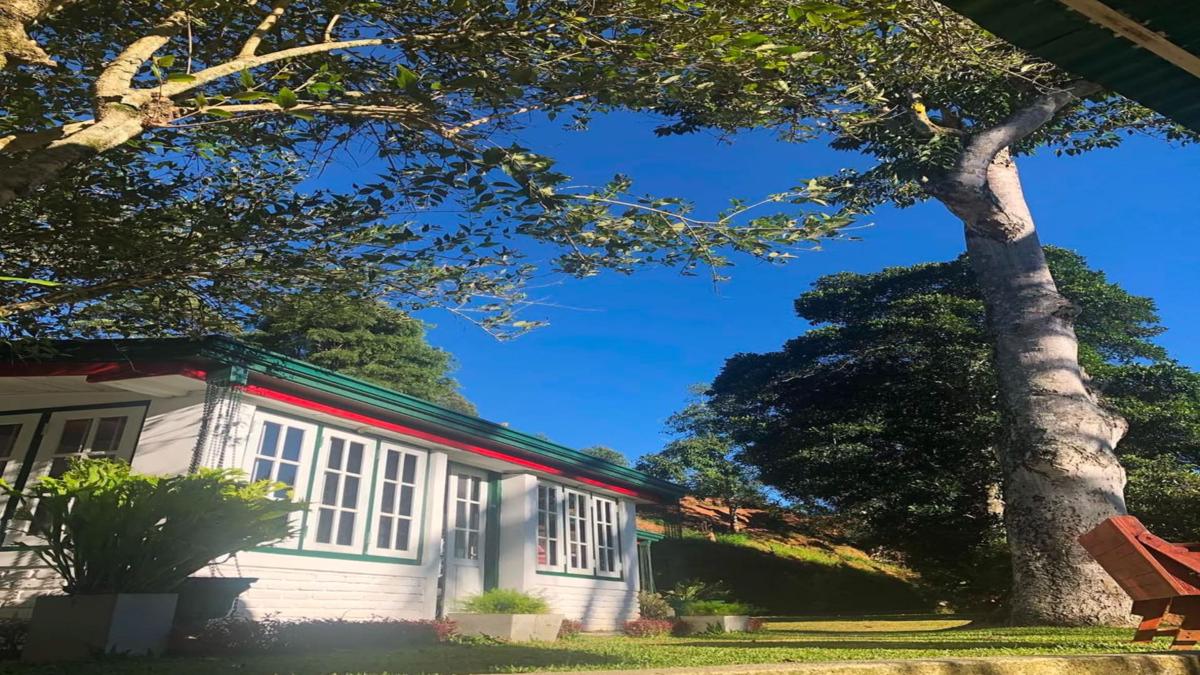 Ella Escapade Hostel photo 4