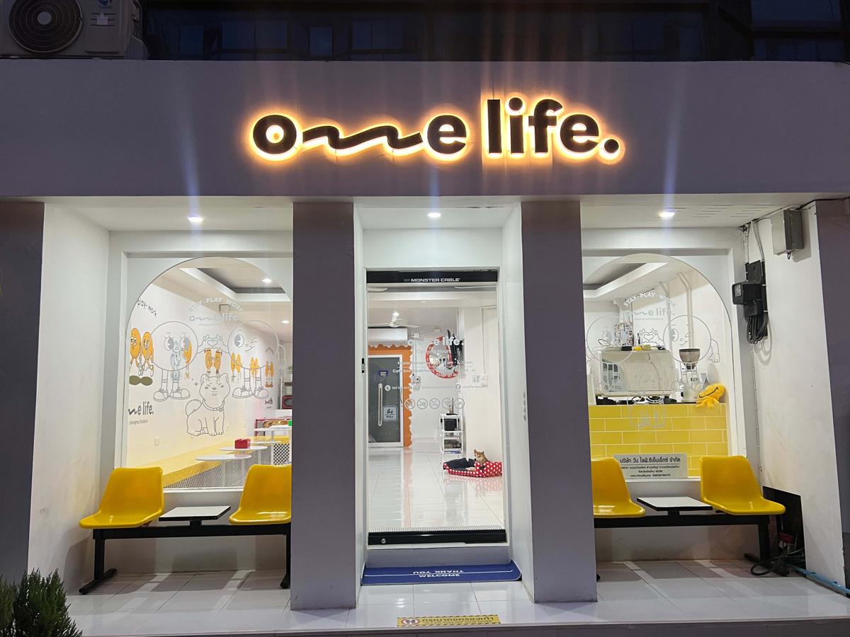 One life Hostel photo 1