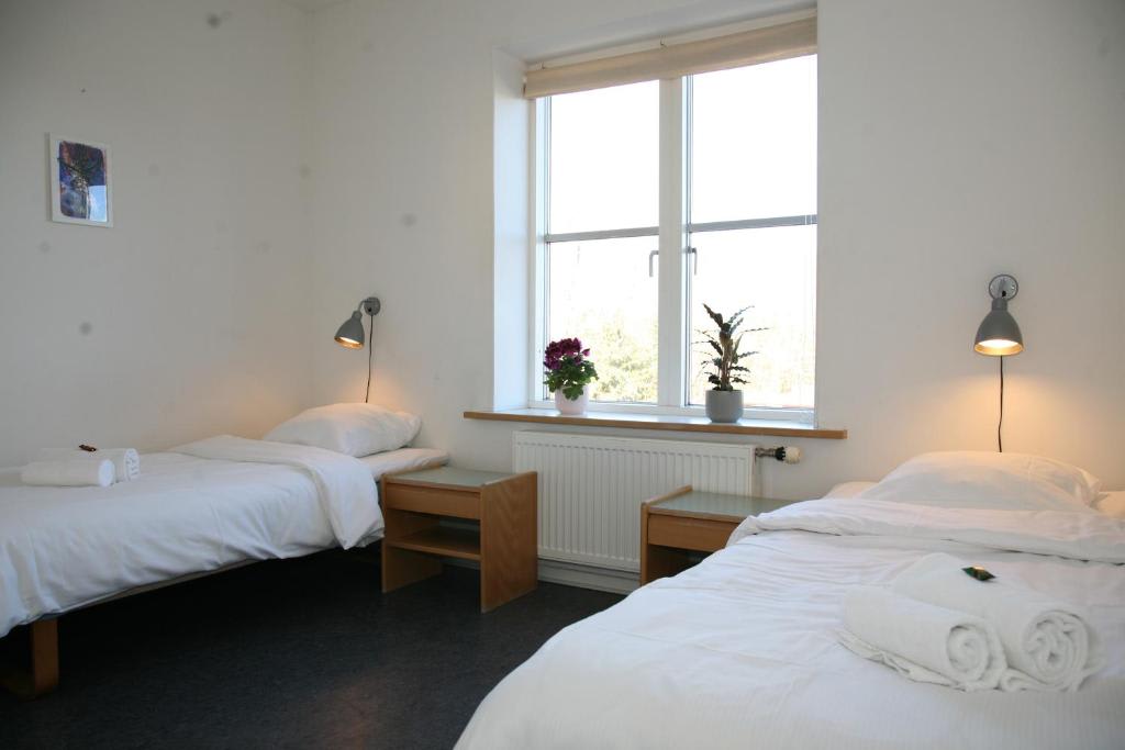 Nexo Hostel photo 6