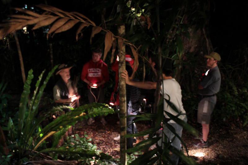 Crocodylus Hostel photo 3