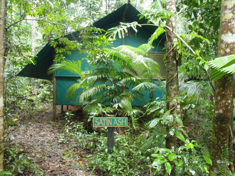Crocodylus Hostel photo 4