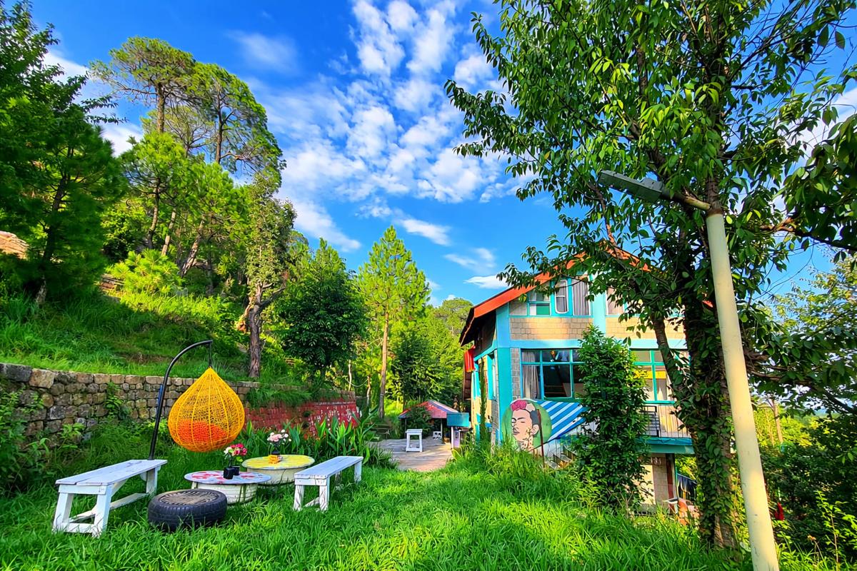 Vibe hostel photo 1