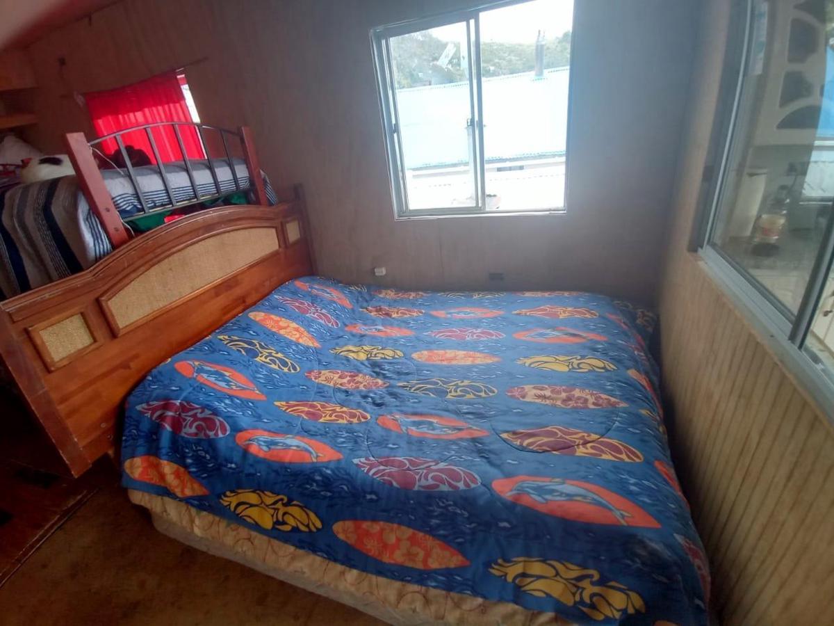 Lofi Buceo Hostel photo 3