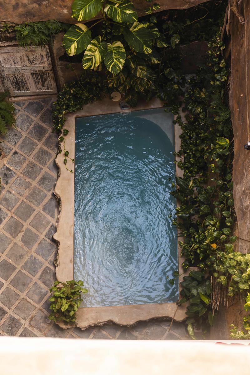 Firefly Zanzibar photo 2