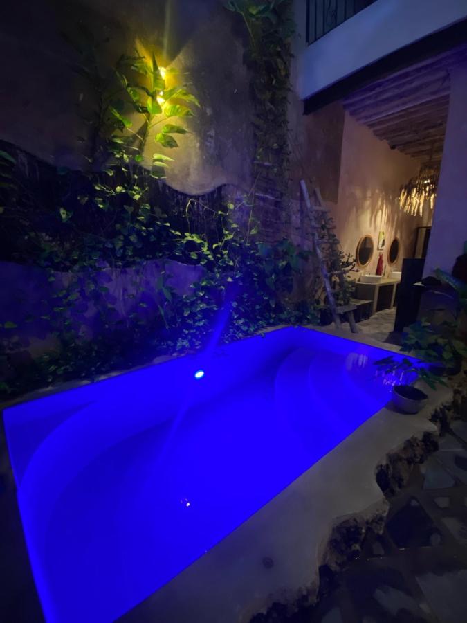 Firefly Zanzibar photo 6