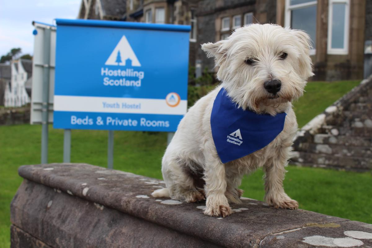 Oban Youth Hostel photo 3