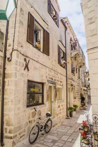 The White Rabbit Hostel photo 5