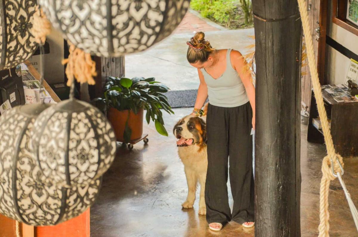 Coffee Tree Boutique Hostel photo 2