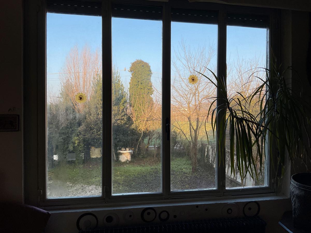 Green Fields Guesthouse photo 3
