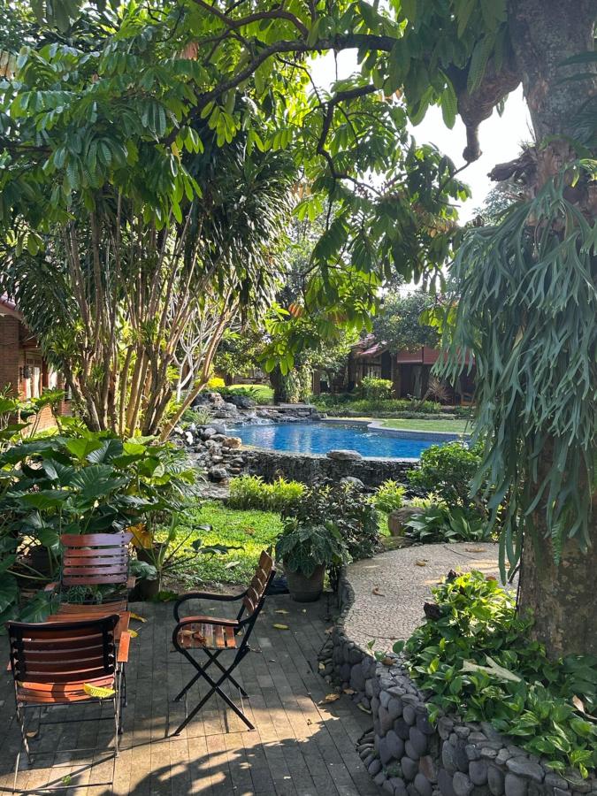 Gorga Hostel photo 6