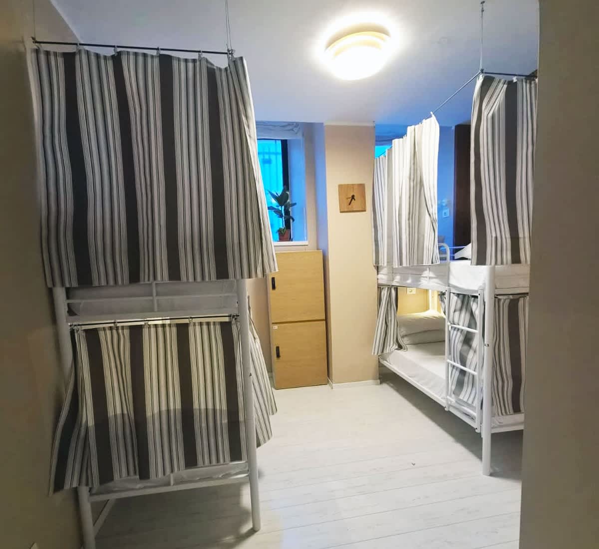 Zippy Hostel photo 3