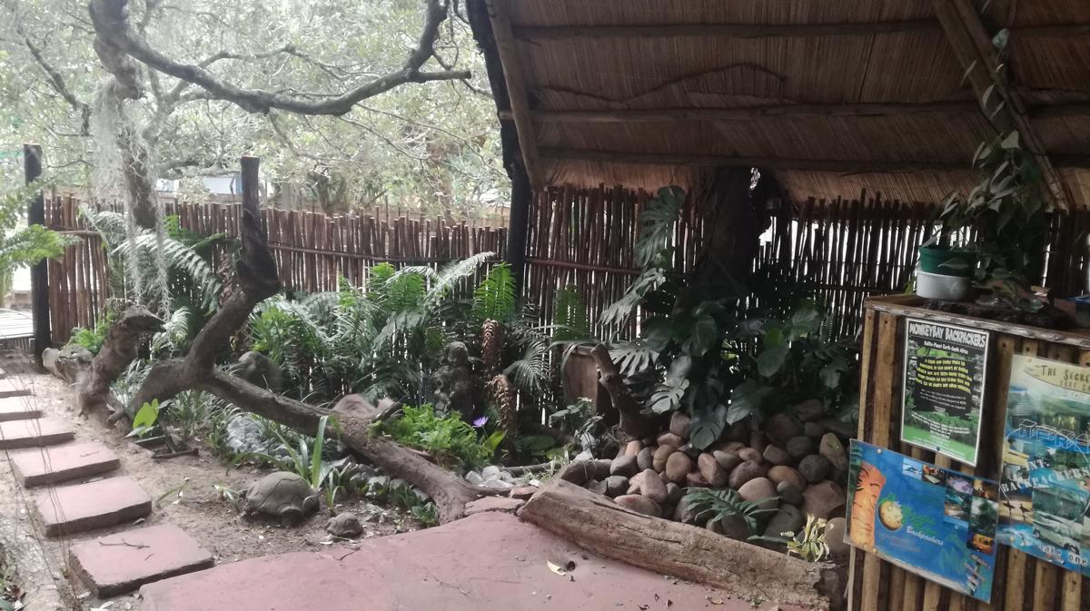 Thobeka Backpackers Lodge photo 6