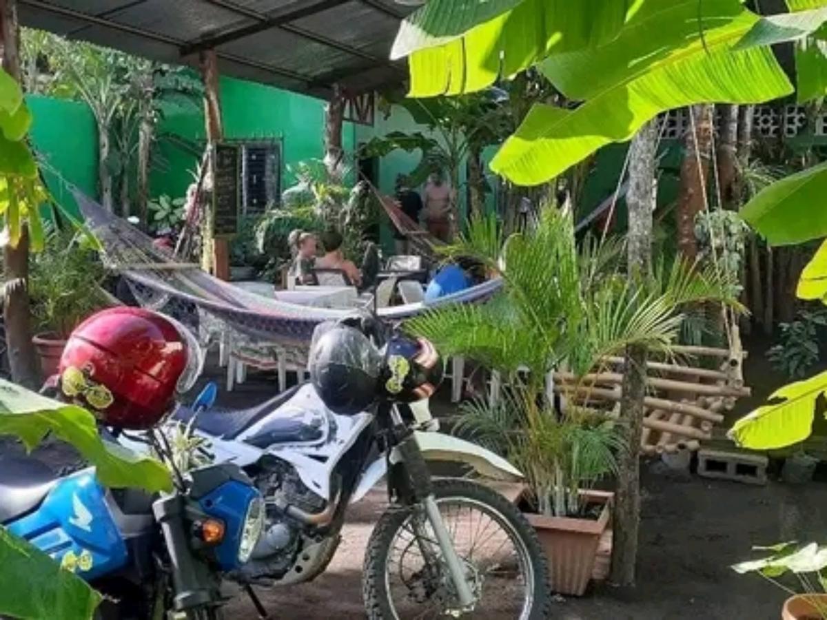 Hostel Coco's photo 1