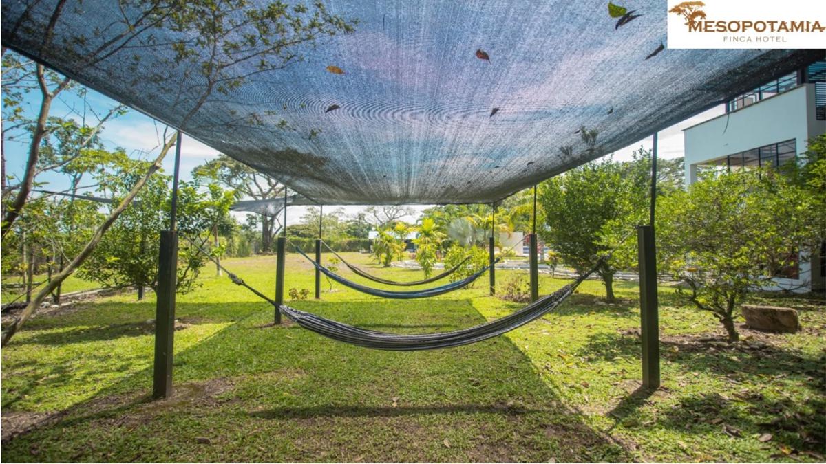 Mesopotamia photo 3