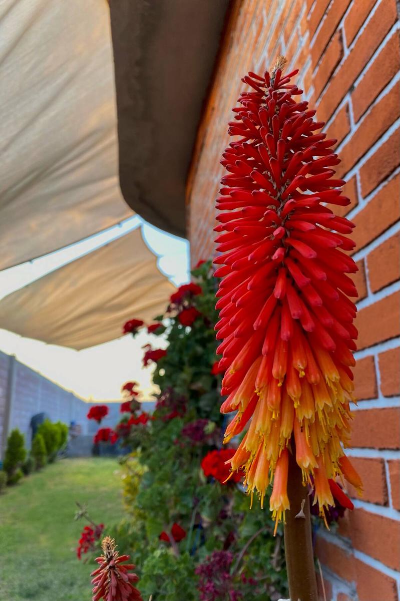Hostal Aztec photo 2
