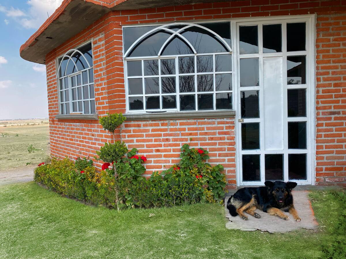 Hostal Aztec photo 3