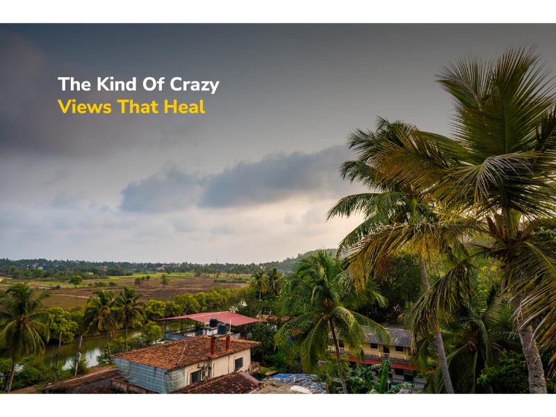 goSTOPS Goa Baga photo 3