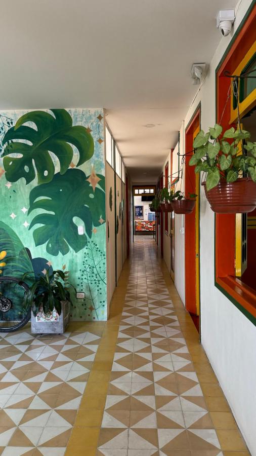 Golden Frog Mountain Hostel photo 6