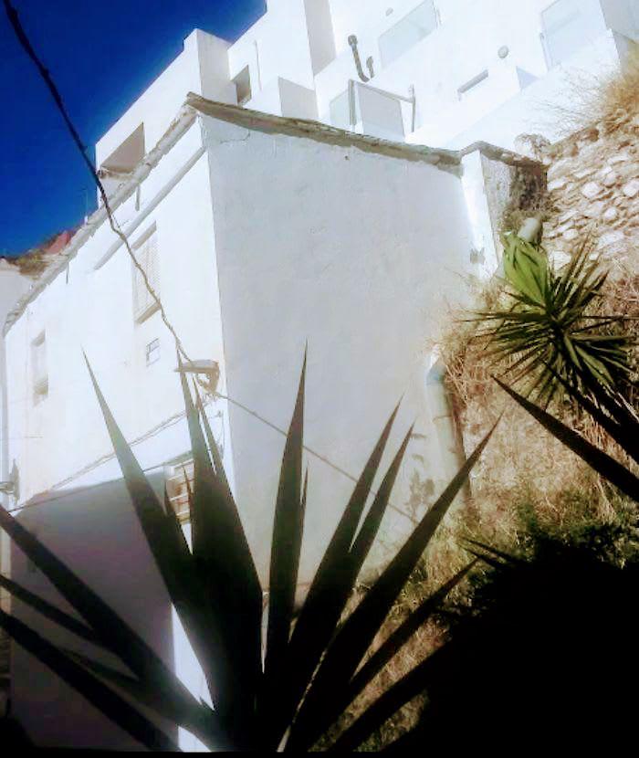 Hostel Kahlo photo 6