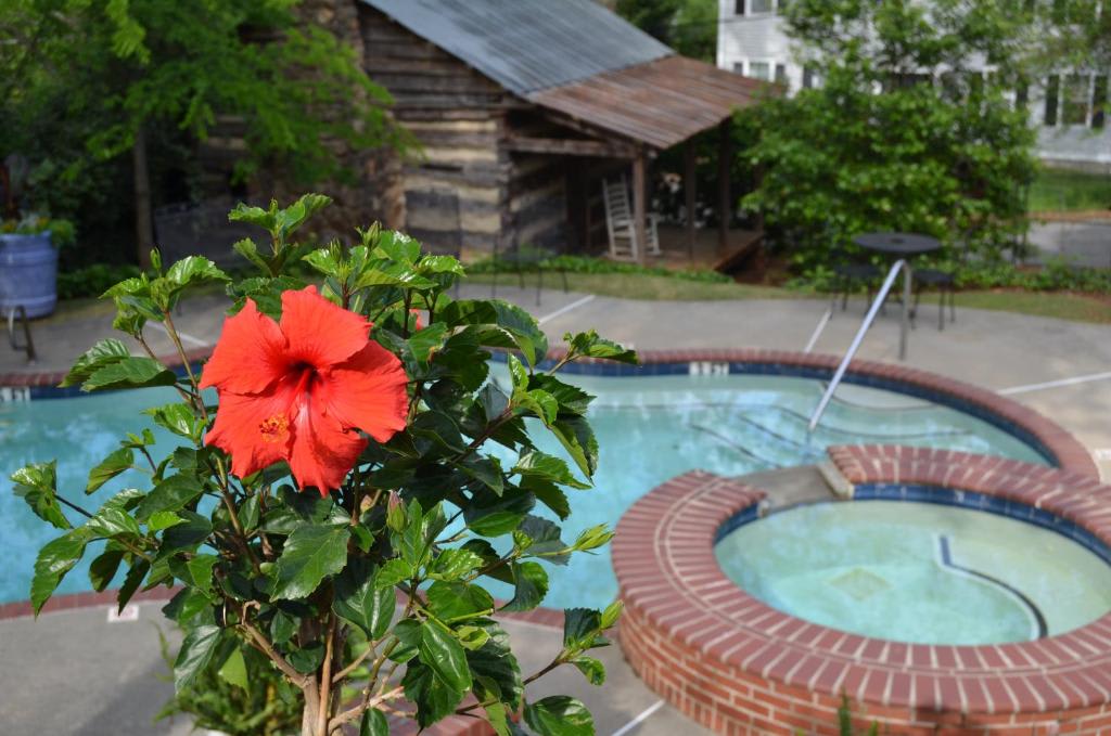 Stone Mountain Manor photo 4
