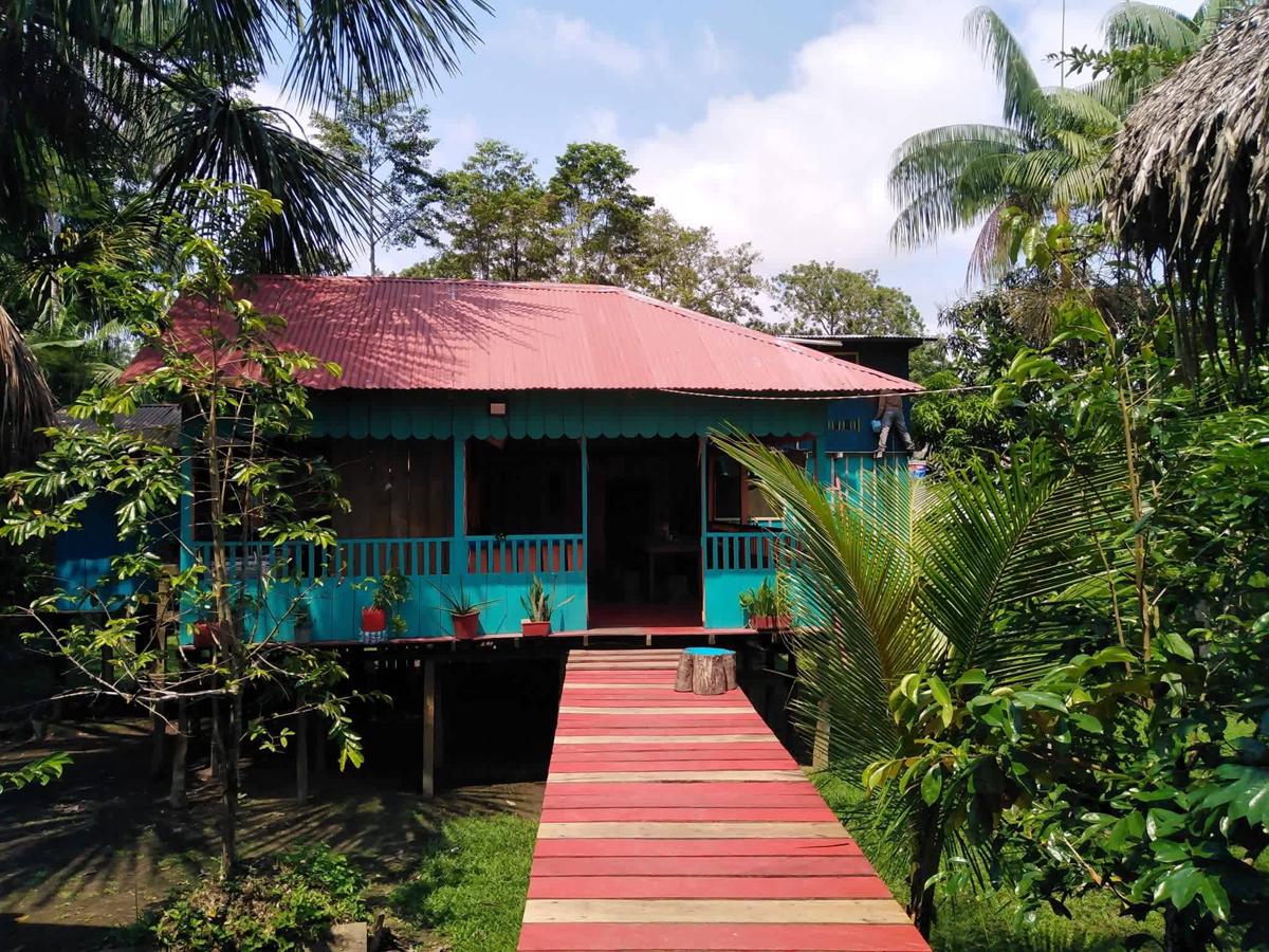 Hostal Buho Amazonas photo 3