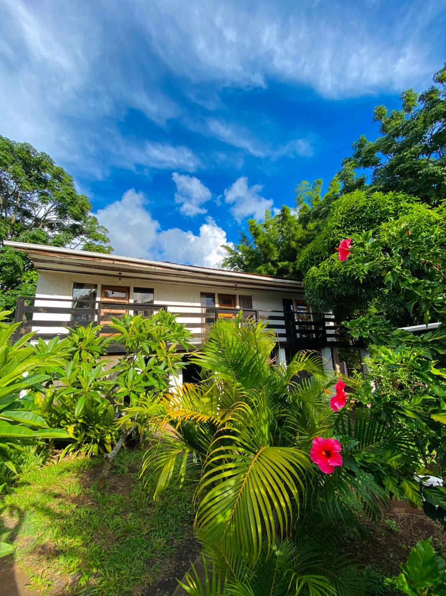 Mata Nui Eco Hostel photo 2