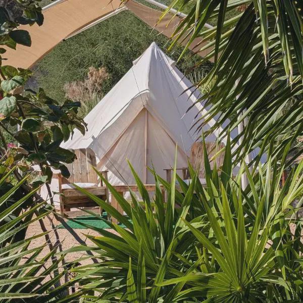 La Window Glamping photo 5