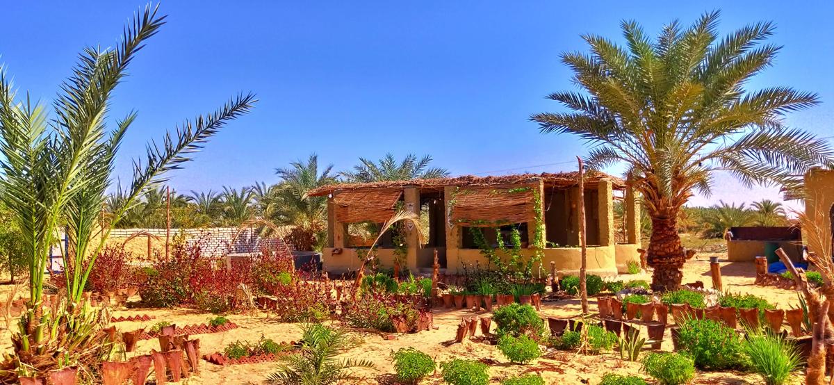 Santa Rya Siwa Camp photo 3