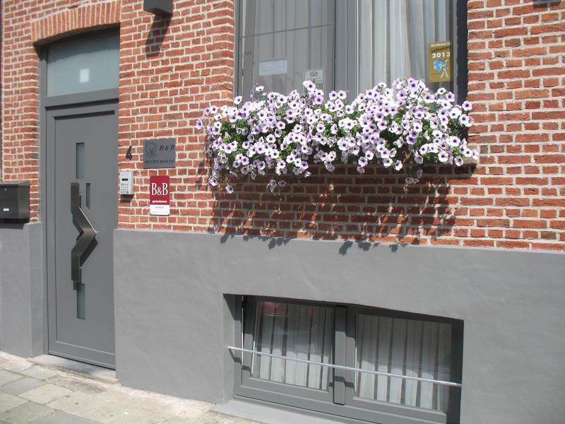 Het Wit Beertje photo 2