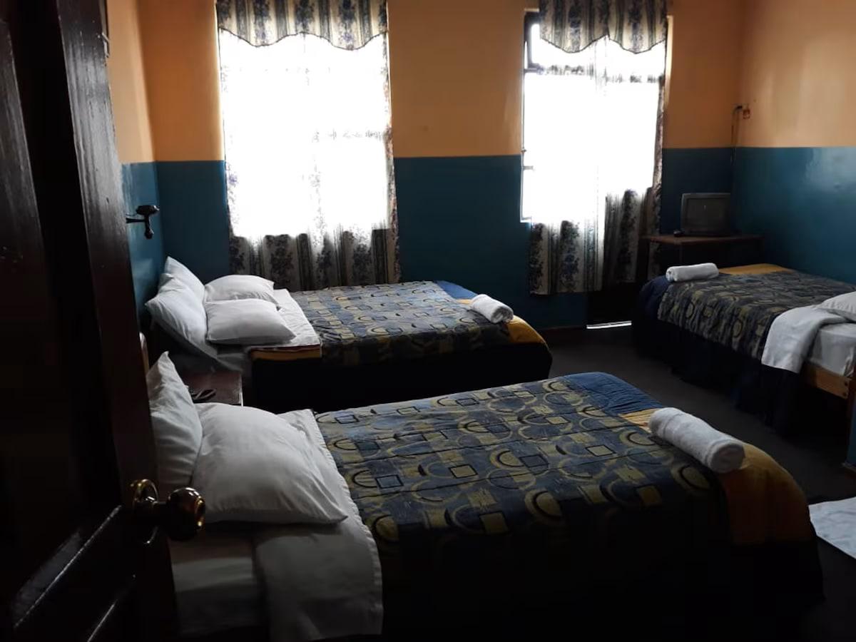 Hostal Castel WL photo 4