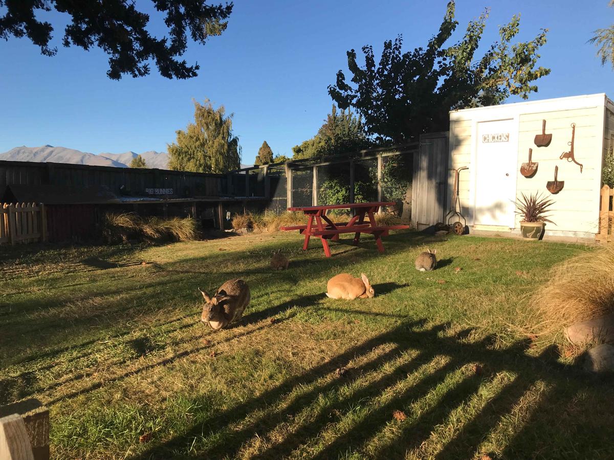Tailor Made Tekapo Accommodation photo 4
