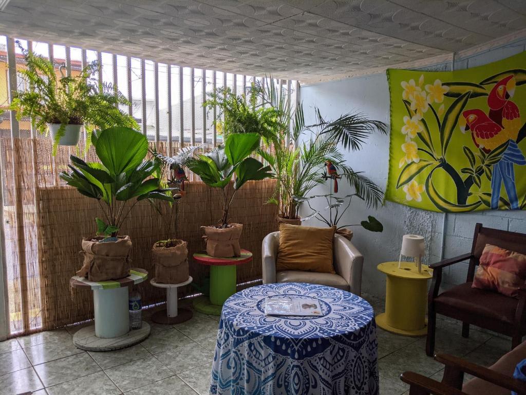 Guesthouse Casa Lapa photo 3